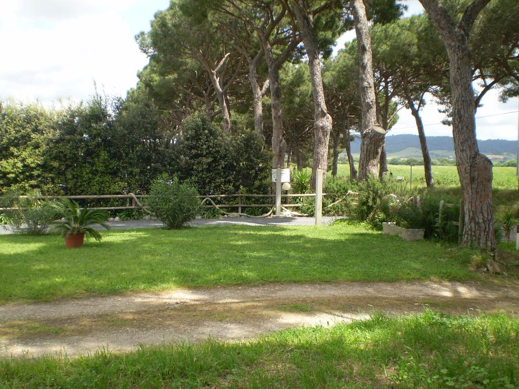 Agriturismo Ternova Альберезе Экстерьер фото